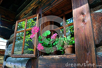 Summer flowers in the log cabin window Stock Photo