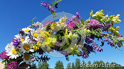 Summer flowers Stock Photo