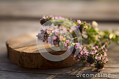 Wreath of summer flowers in the warm rays of the sun Stock Photo