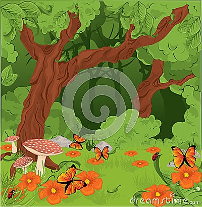 Summer forest background Vector Illustration
