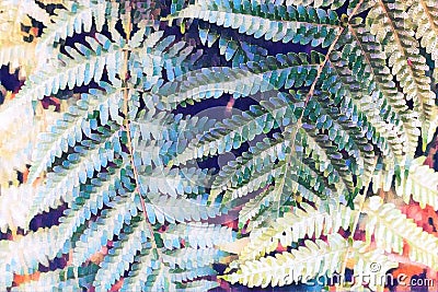 Summer forest fern leaf closeup. Forest floor artistic digital illustration. Faded blue green fern leaves Cartoon Illustration