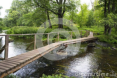 Summer forest landscape witht he wooden bridge Stock Photo