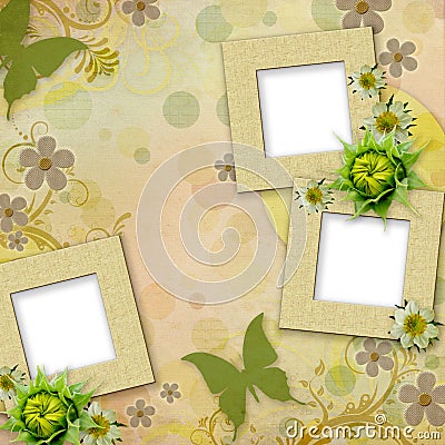 Summer frames with green butterfly, flowers Stock Photo