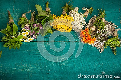 Summer fresh medicinal herbs on the wooden background. Stock Photo