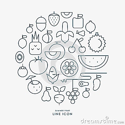 Summer fruit line icons infographic Vector Illustration