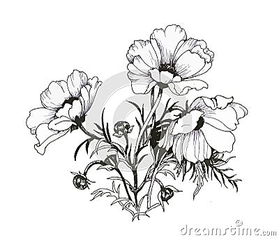 Summer garden blooming flowers monochrome illustration. Vector Illustration