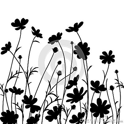 Summer garden. Cosmos flower silhouette isolated on white. Vector illustration Vector Illustration