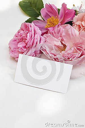 Summer garden floral composition. Blank business card mockup. Flowers and herbs on white table in sunlight. Colorful Stock Photo