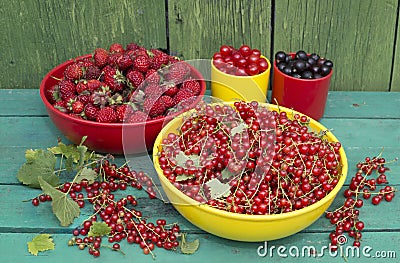 Summer gather of berries Stock Photo