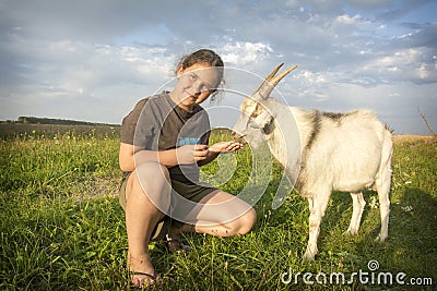 In the summer, a girl feeds a goat in the field Stock Photo