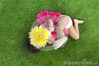 Summer Girl with gerbera flower Stock Photo