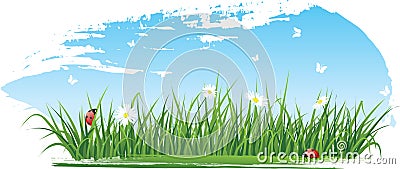 Summer grass banners Vector Illustration