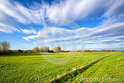 Summer grassland and blue sky Stock Photo