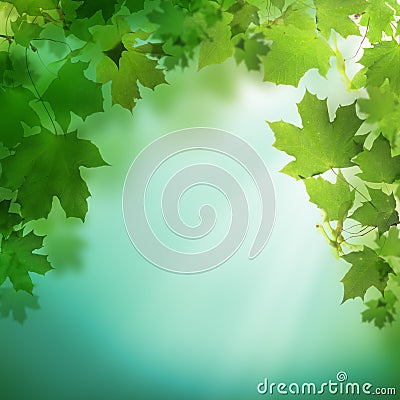 Summer green background with greenery foliage Stock Photo