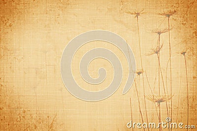 Summer grunge canvas Stock Photo