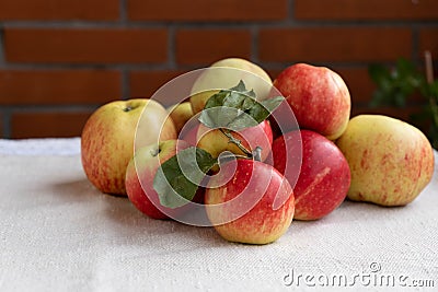 Summer harvested, ripe and juicy apples Stock Photo