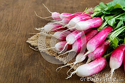 Summer harvested red radish. Growing organic vegetables. Large bunch of raw fresh juicy garden radish Stock Photo