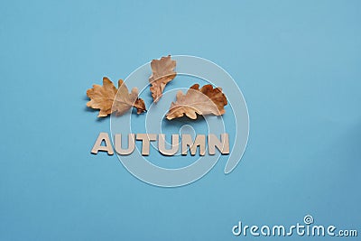 Summer hat and dry oak leaves with Woody autumn inscription. back to school or kindergarten. summertime, creativity and learn Stock Photo