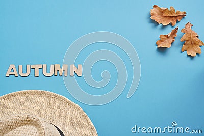 Summer hat and dry oak leaves with Woody school inscription. back to school or kindergarten. summertime, creativity and learn Stock Photo