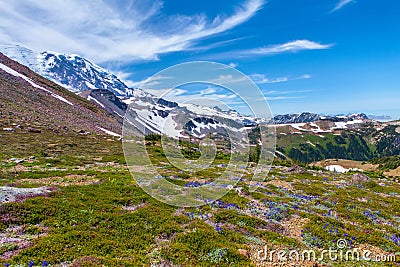 Summer Hike at Mount Rainier National park with view of Mt.Rainier. Stock Photo