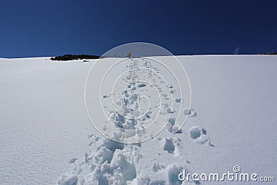 Summer hiking in snow mountains, Norway Stock Photo