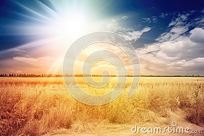 Summer hot day in the field, withered grass from the heat. Generative AI Stock Photo