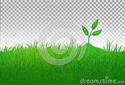 Summer illustration with green grass and growing sprout Vector Illustration