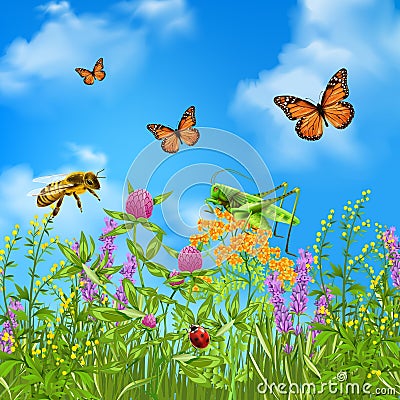 Summer Insects Realistic Vector Illustration