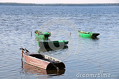 Summer at Lake Naroch Editorial Stock Photo