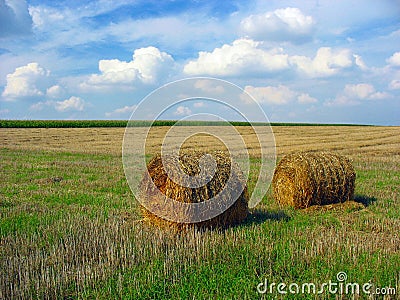 Summer landscape 1 Stock Photo