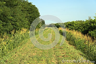 Summer landscape along the cycle path of the Po river, italy Stock Photo