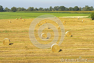 Summer landscape along the cycle path of the Po river, italy Stock Photo