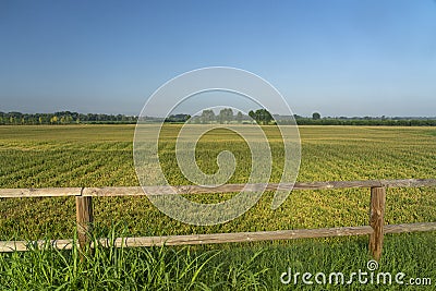 Summer landscape along the cycle path of the Po river, italy Stock Photo