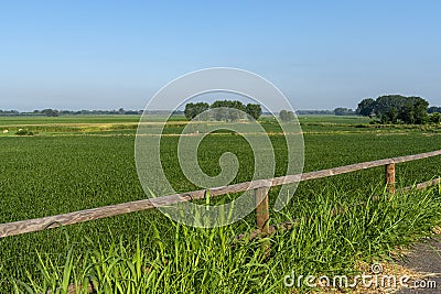 Summer landscape along the cycle path of the Po river, italy Stock Photo