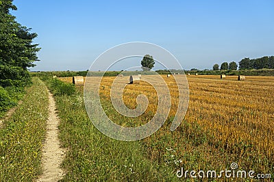 Summer landscape along the cycle path of the Po river, italy Stock Photo