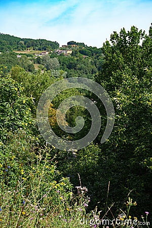 Summer landscape along the road from Bagni di Lucca to Castelnuovo Garfagnana, Tuscany Stock Photo