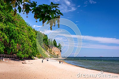 Summer landscape of the Baltic Sea with cliffs in Gdynia OrÅ‚owo, Poland Editorial Stock Photo