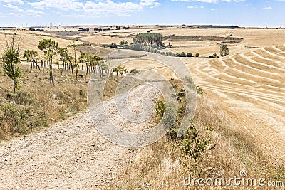 Summer landscape with a country road on a summer day between Hornillos del Camino and Hontanas, Burgos, Spain Stock Photo