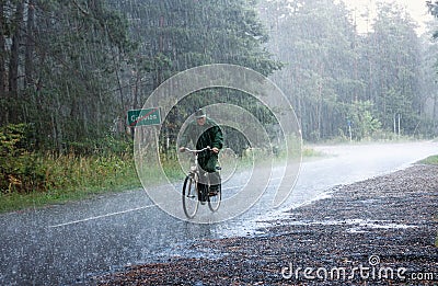 Summer landscape - an elderly cyclist riding a country road in the pouring rain Editorial Stock Photo