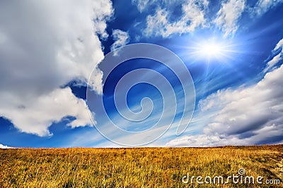 Summer landscape with field of grass,blue sky and sun Stock Photo