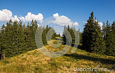 Summer landscape in Gorgany region of Carpathian Mountains Stock Photo