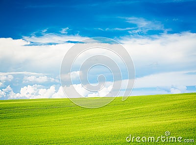 Summer Landscape with Green Field and Blue Sky Stock Photo