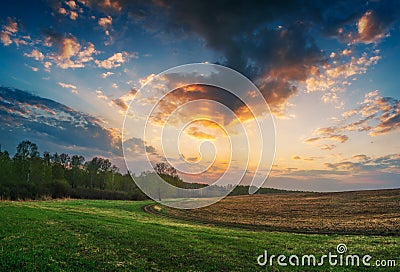 Summer landscape with green grass, road Stock Photo