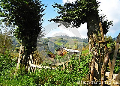 Summer landscape of green highlands in northern Alborz mountains , Mazandaran Stock Photo