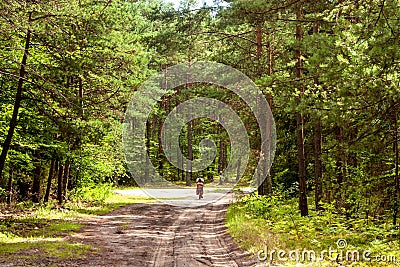 Summer landscape - a lone cyclist travels the countryside road through the forest Stock Photo