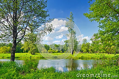 Summer landscape with lonely tree and blue sky Stock Photo