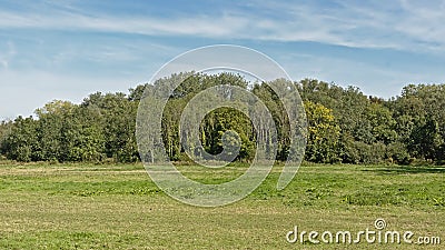 Summer landscape in the marsh in the Flemish countryside. Stock Photo