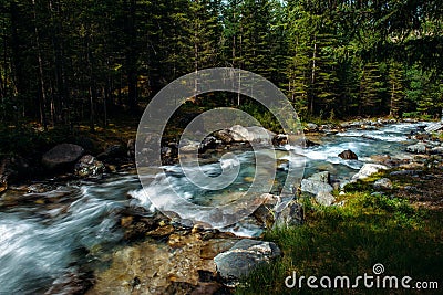 Summer landscape of mountain river among green trees. Sunlit river in the mountain forest. Picture of beautiful nature Stock Photo