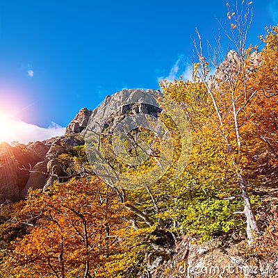 Summer landscape in the mountains. Sunrise Stock Photo