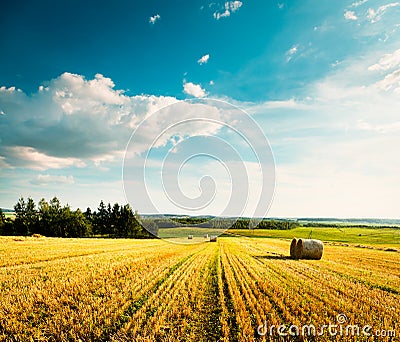 Summer Landscape with Mown Wheat Field and Clouds Stock Photo
